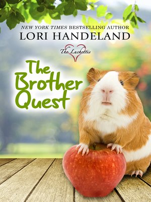 cover image of The Brother Quest